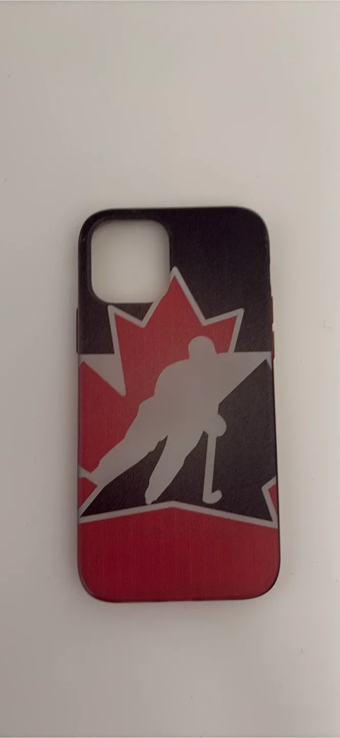 iPhone 12/12 Pro Phone Cases image indicator(2)