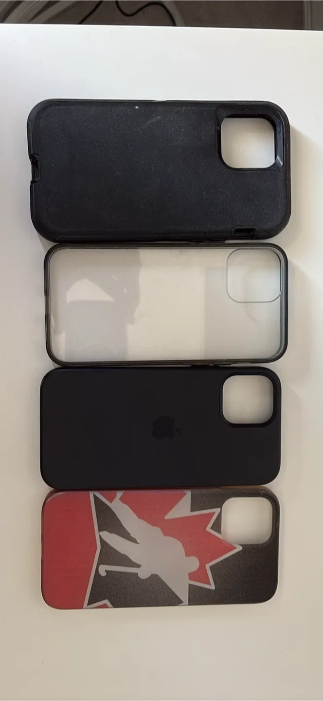 iPhone 12/12 Pro Phone Cases image indicator(4)