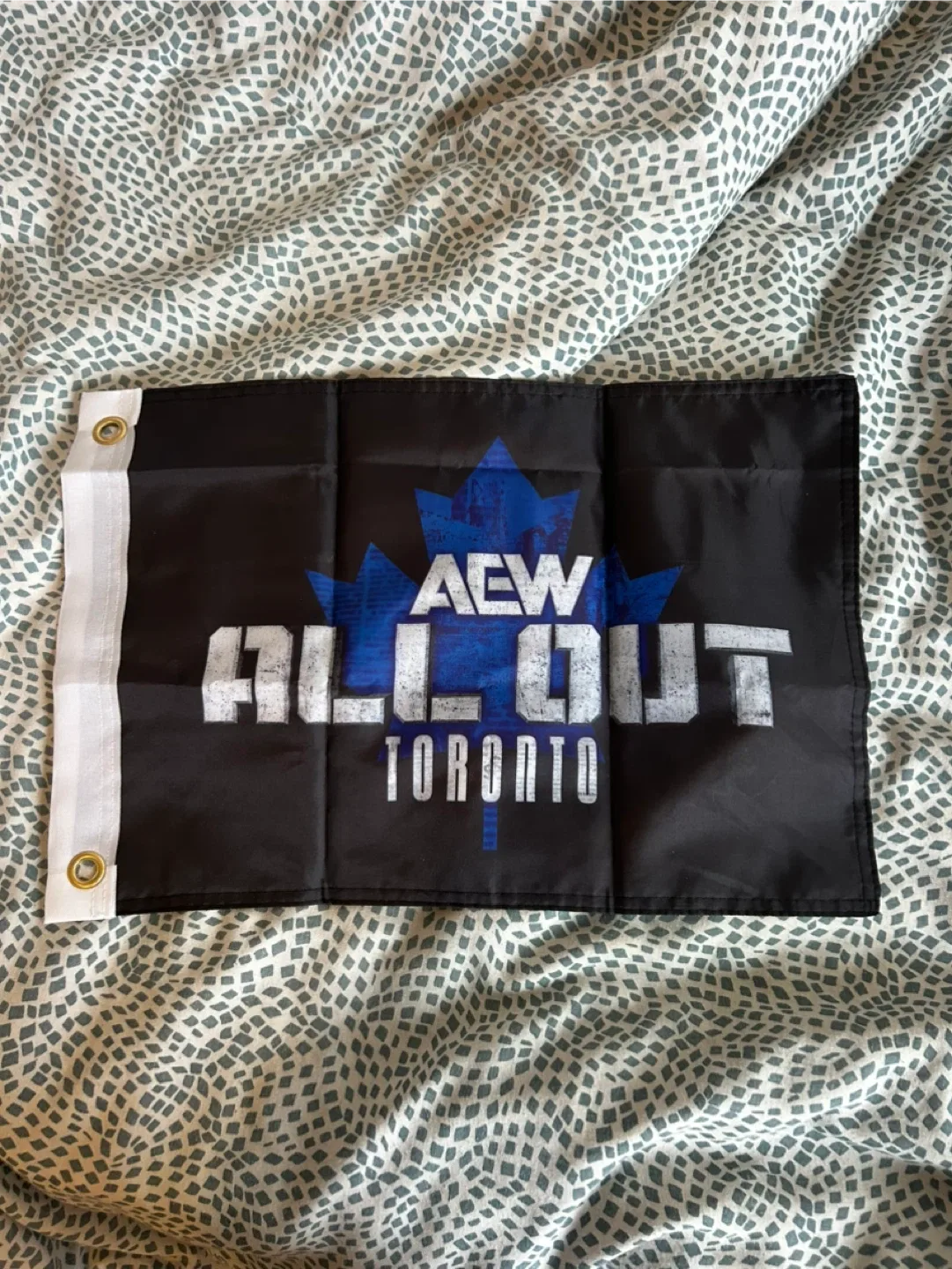 AEW All Out Toronto Flag (Double-Sided) thumbnail