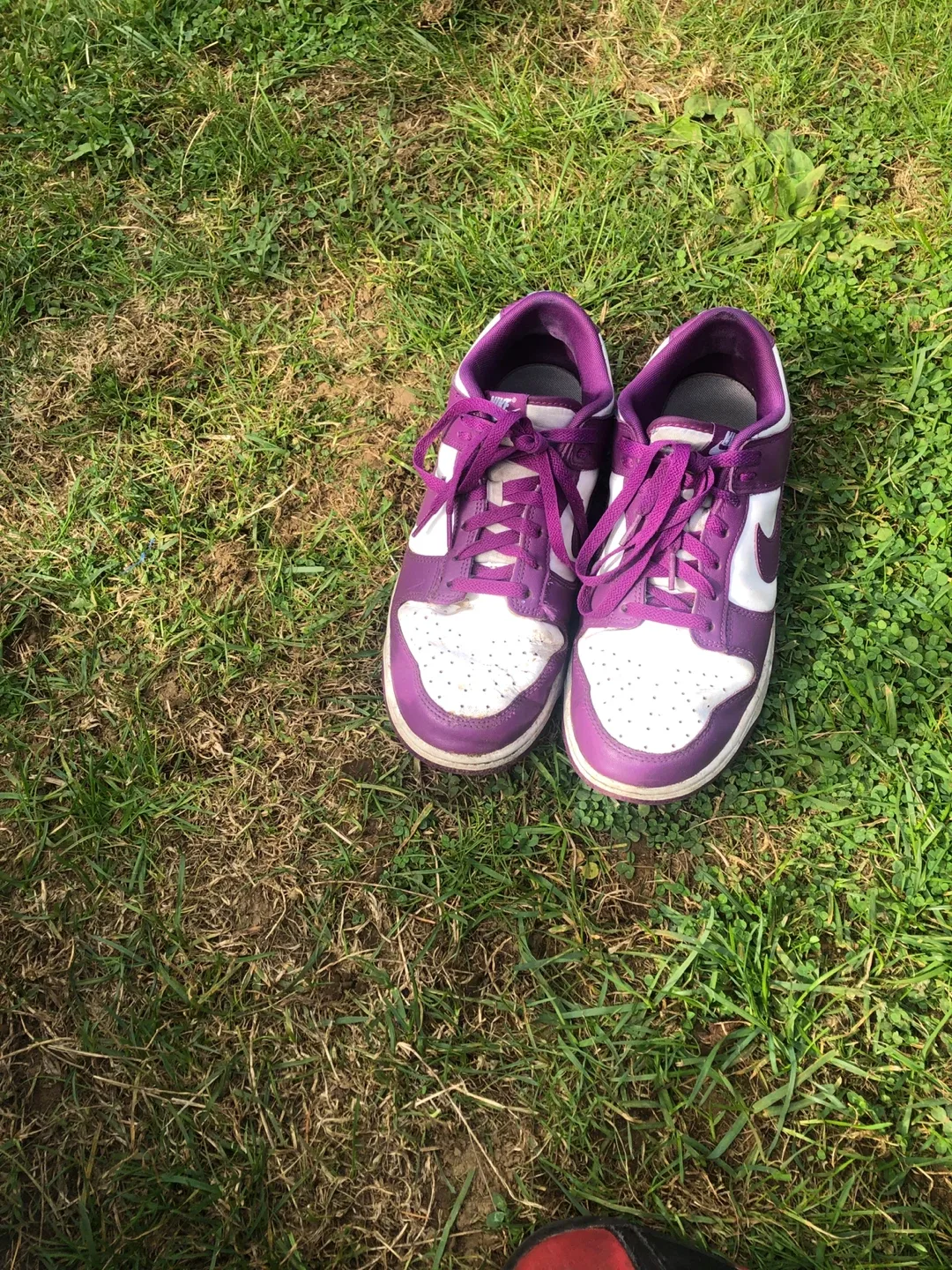 Nike Dunk Low Purple/White Shoes image indicator(2)