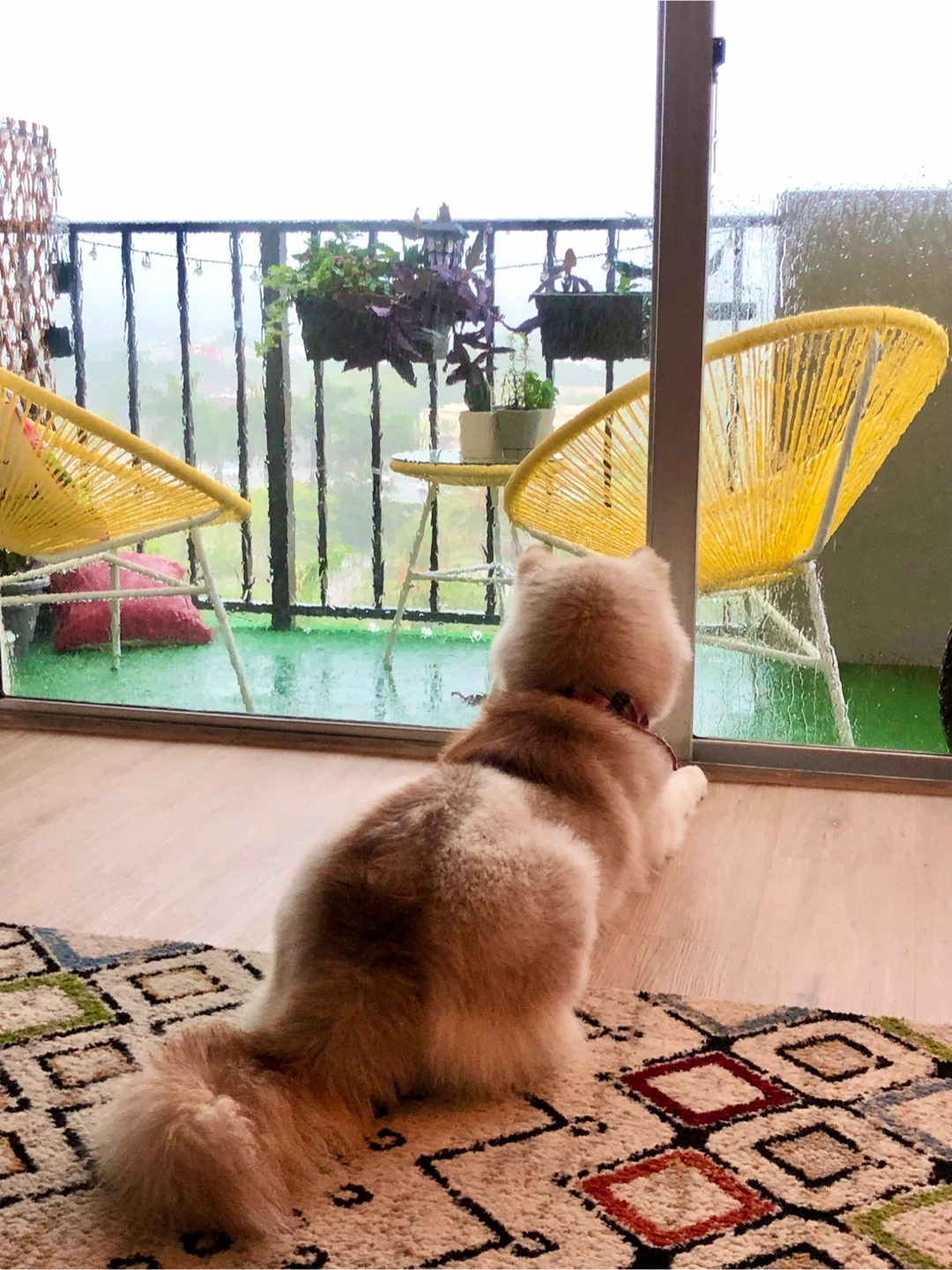 Yellow Acapulco Chair - photo 4