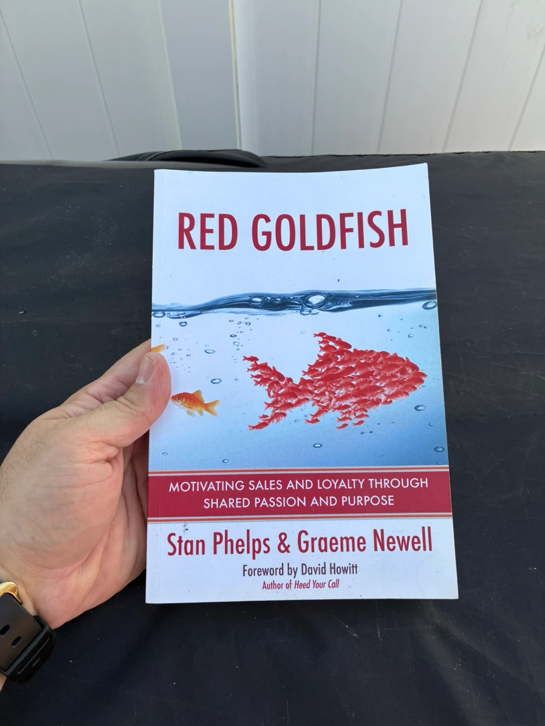 Red Goldfish by Stan Phelps & Graeme Newell