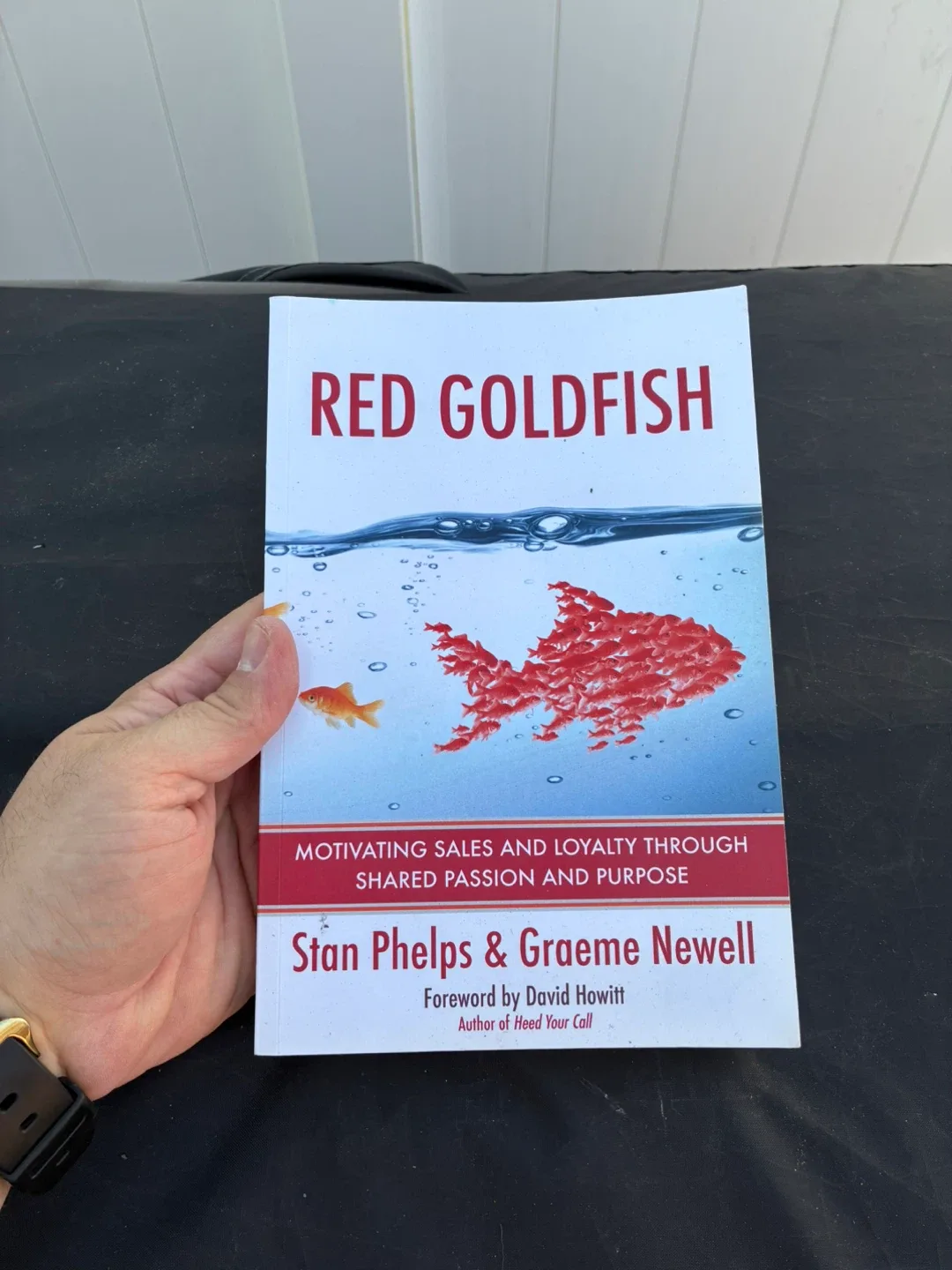 Red Goldfish by Stan Phelps & Graeme Newell thumbnail