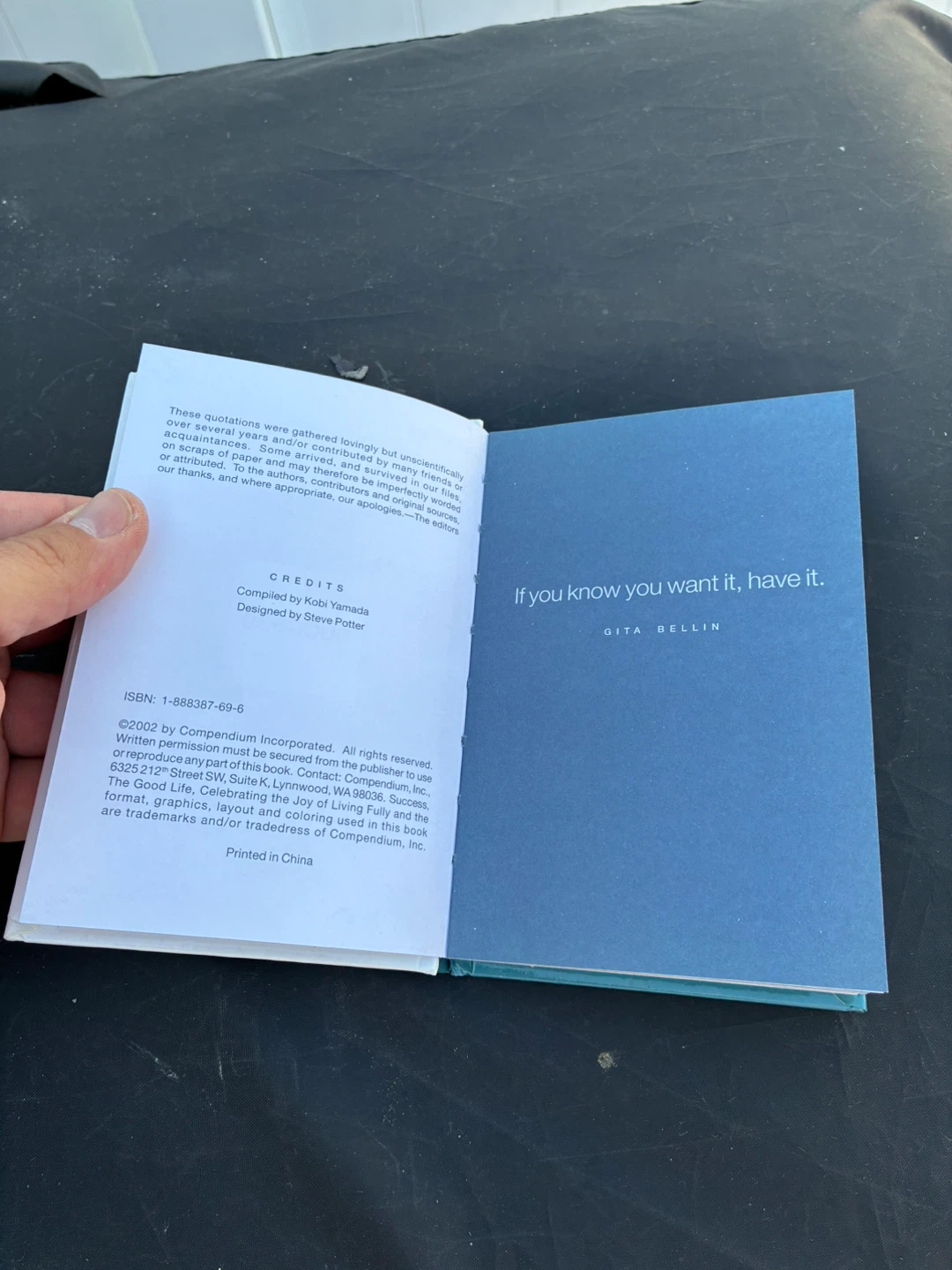 Book Success by Gita Bellin - photo 3