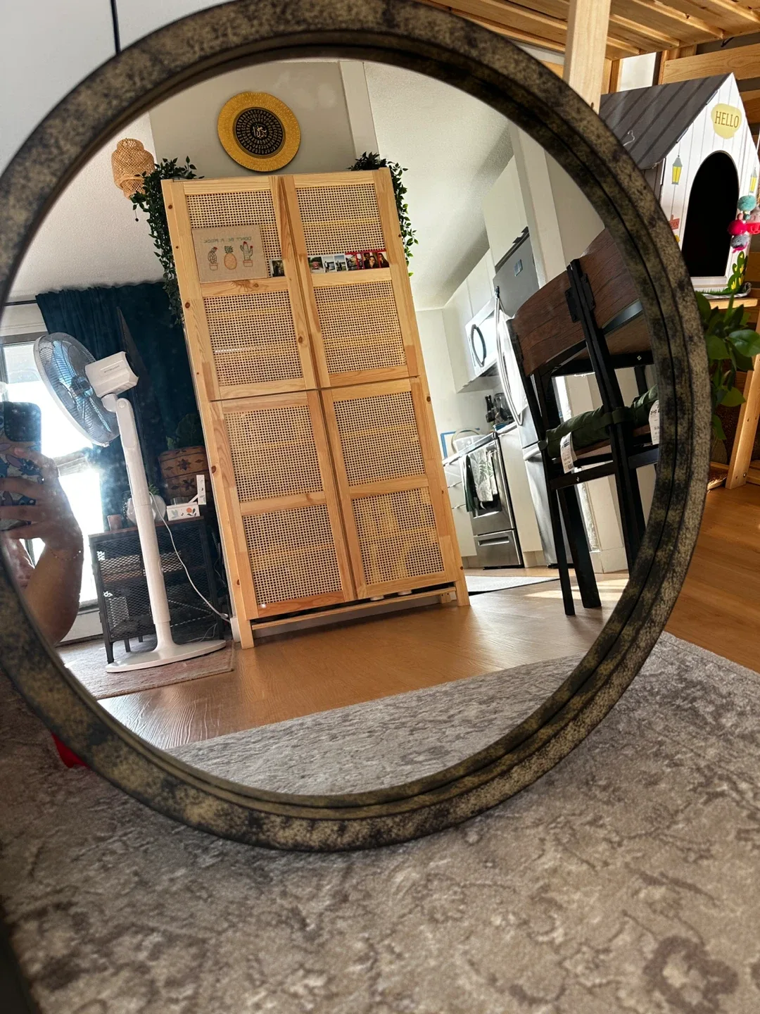 Round Wall Mirror image indicator(2)