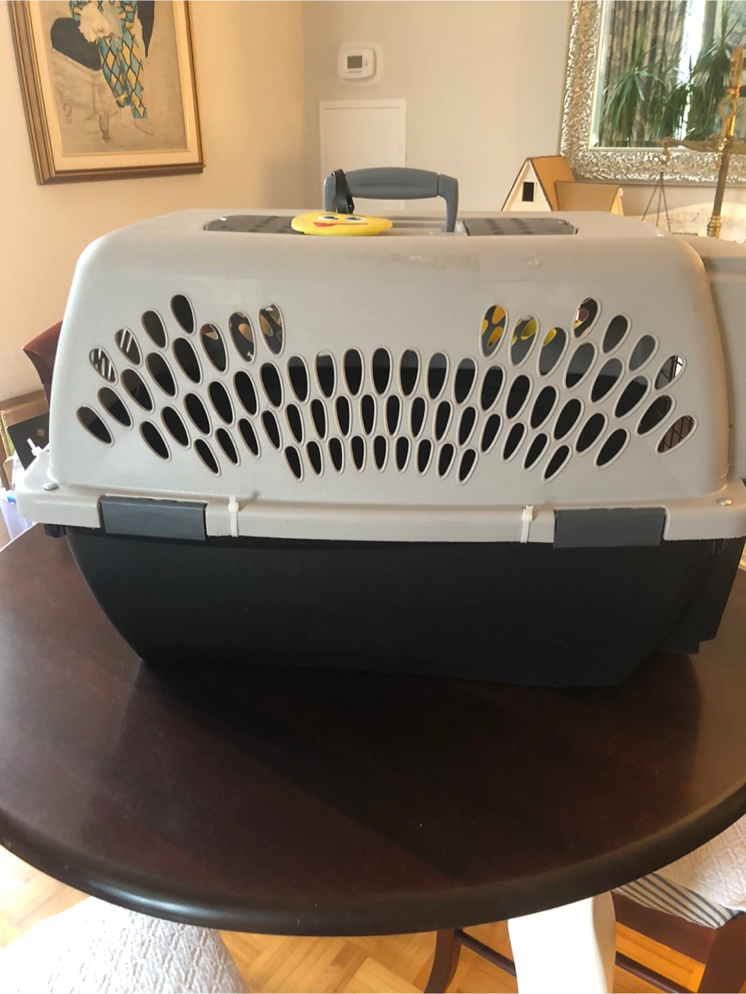 Pet Carrier - Grey and Black