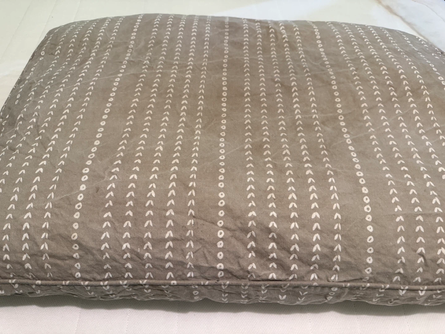 Fringe dog bed