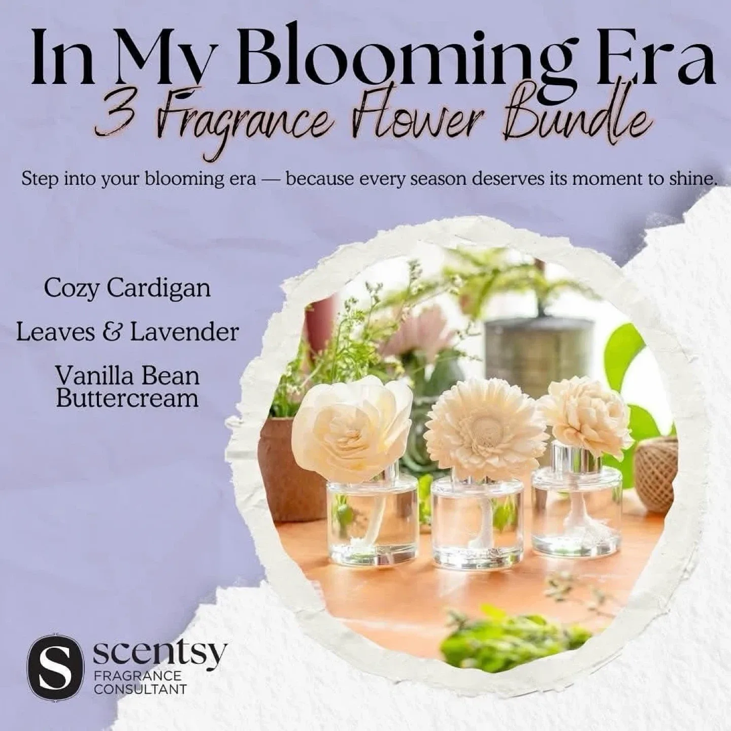 Scentsy, 3 Fragrance Flower Bundle! thumbnail