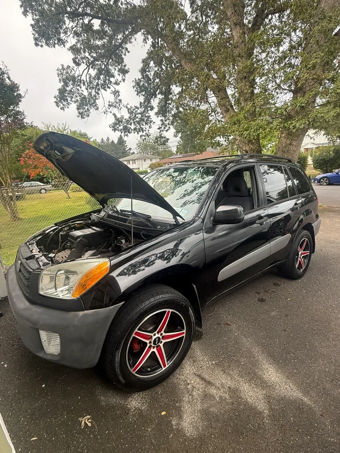 Toyota RAV4 SUV image indicator(7)