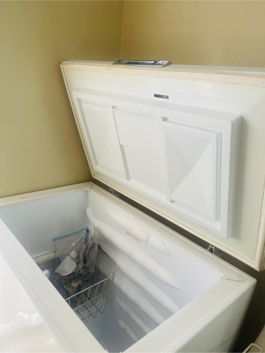 Chest  Freezer - photo 3