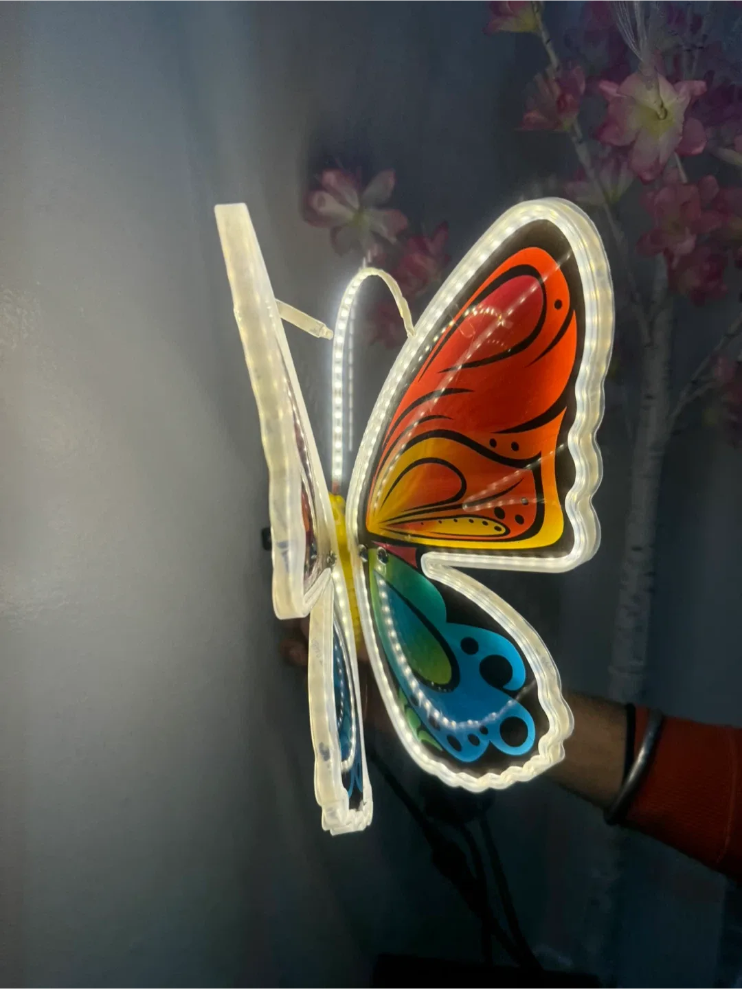 🧡 Butterfly LED Neon Sign Light up plug 🔌 in decoration image indicator(9)