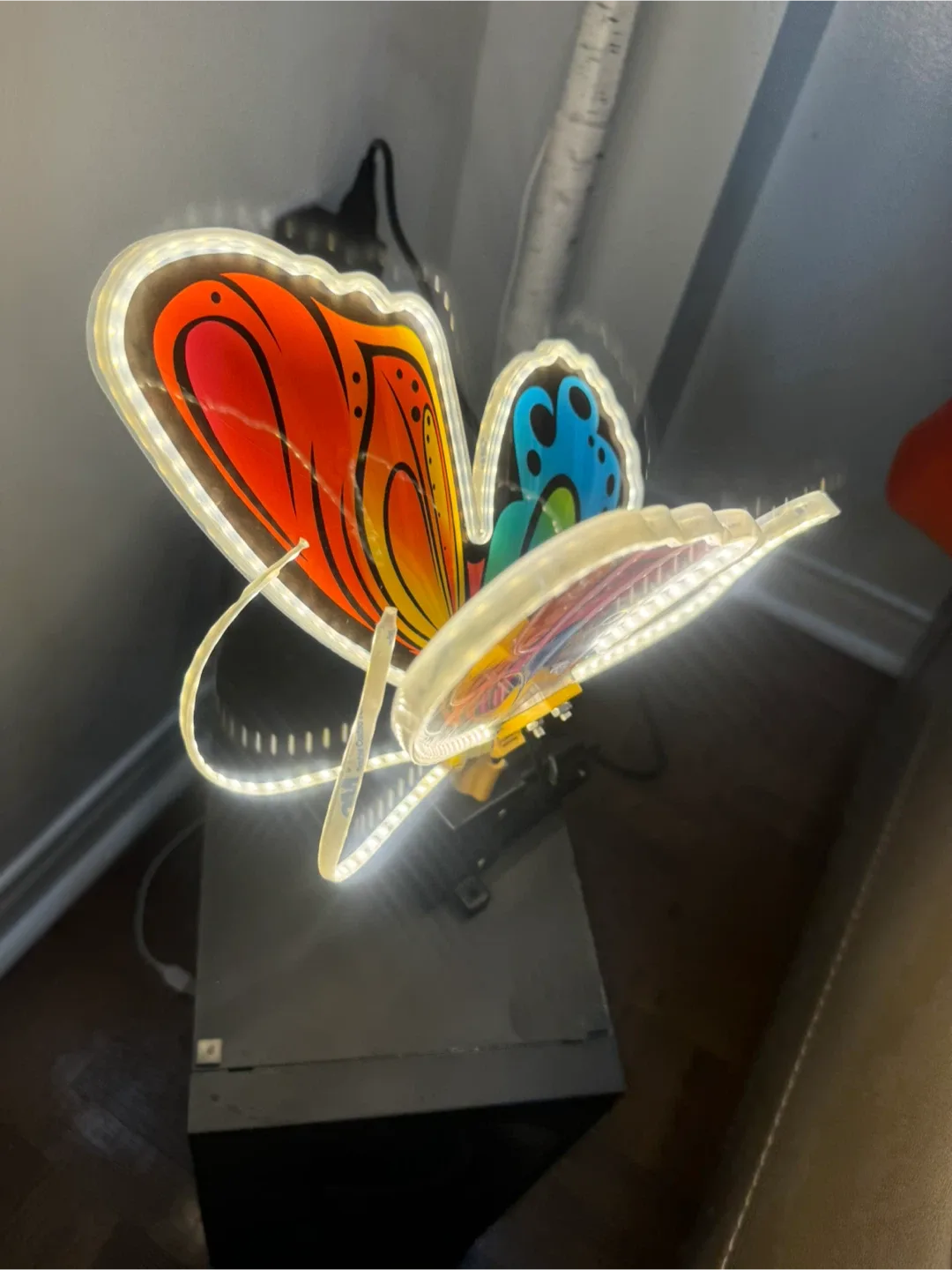 🧡 Butterfly LED Neon Sign Light up plug 🔌 in decoration image indicator(10)