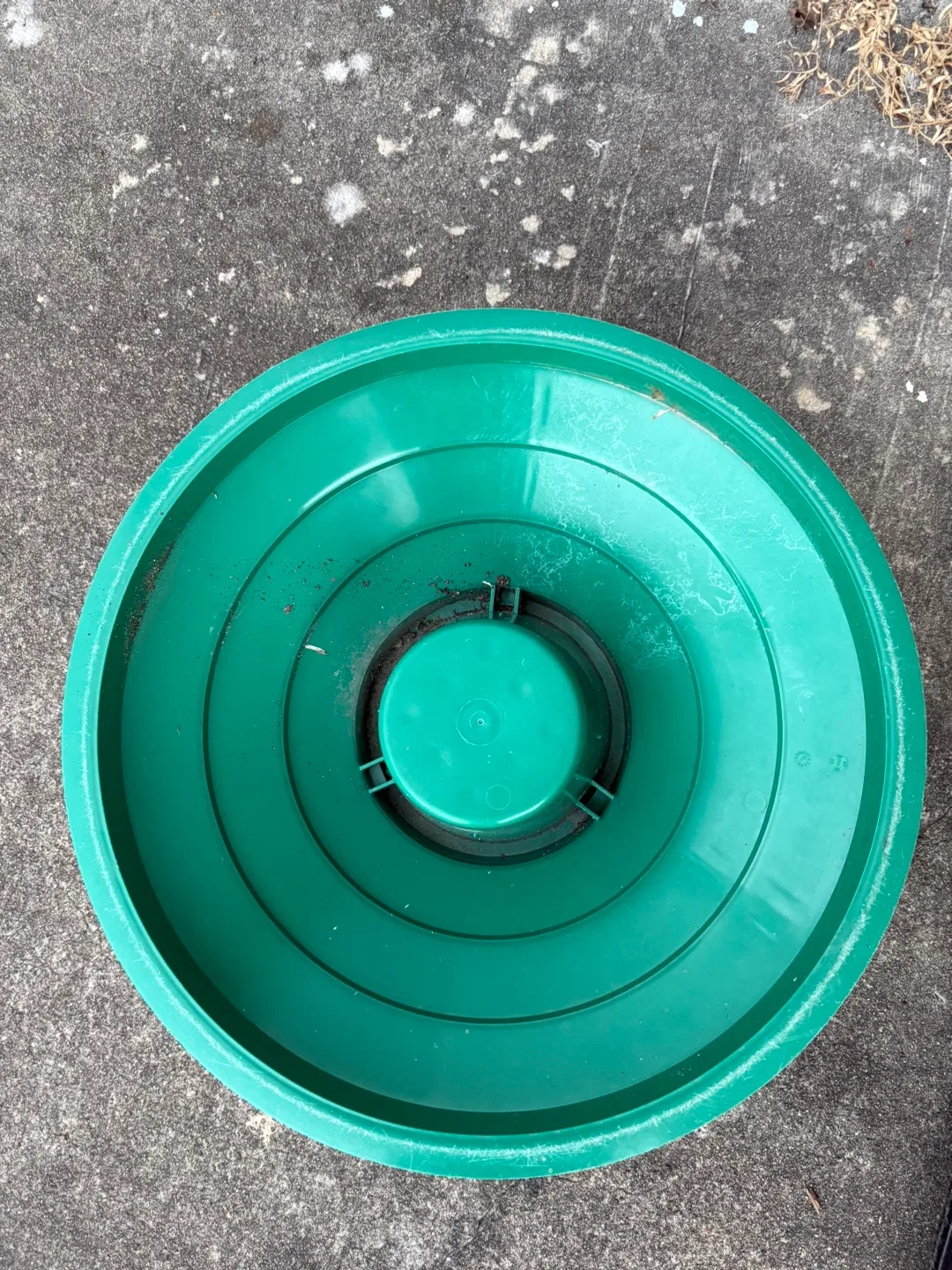 Green Christmas Tree Stand 🧡 image indicator(2)