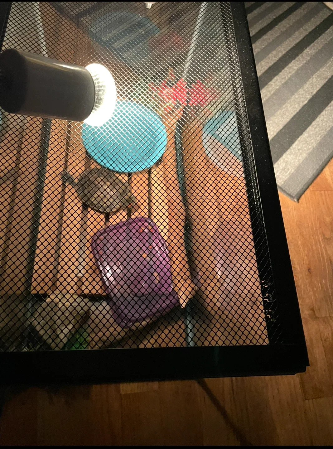 🧡Small Animal/Reptile Tank with Screen & Clips image indicator(3)