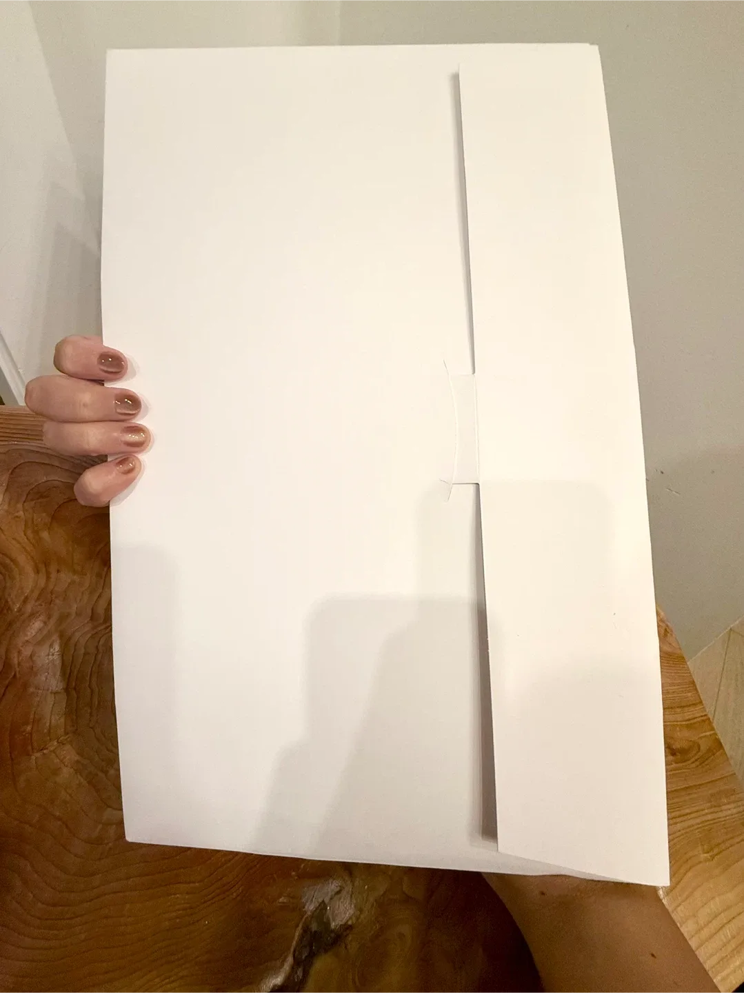 Taylor Swift Eras Tour VIP  3 Posters with Envelope Folder Mint image indicator(2)