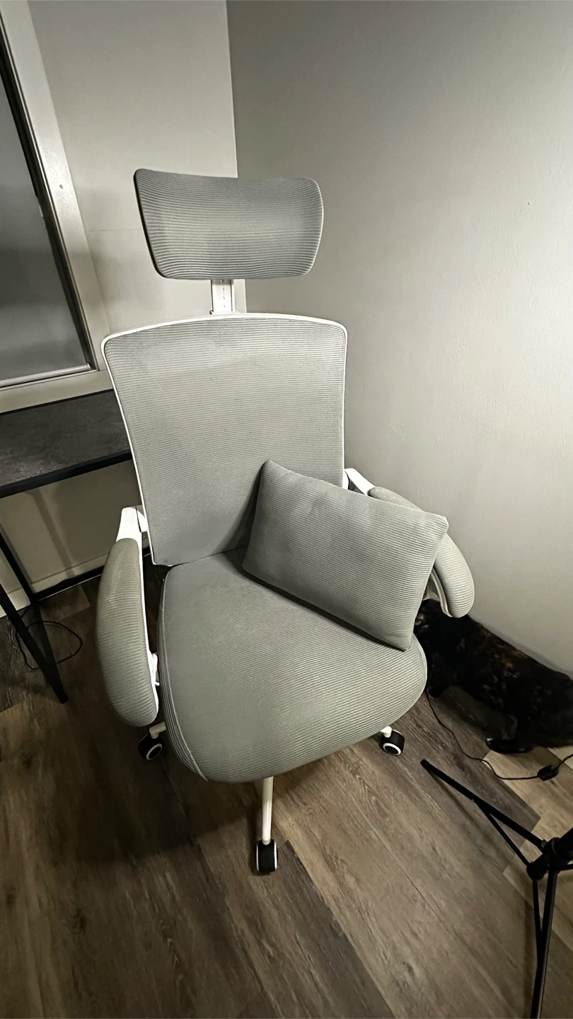 Ergonomic Office Chair with Footrest - photo 2