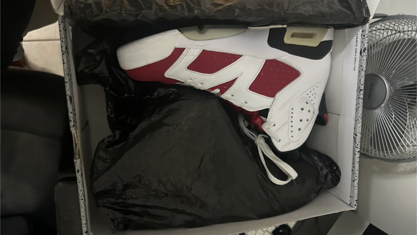 Air Jordan 6 Retro Carmine   Size 10