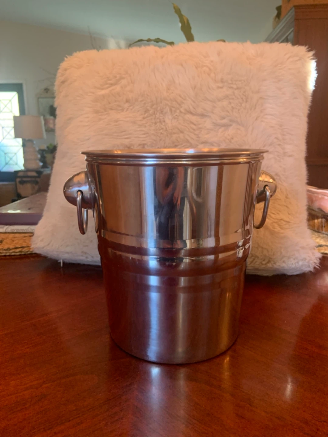 Stainless Steel Ice Bucket with Handles