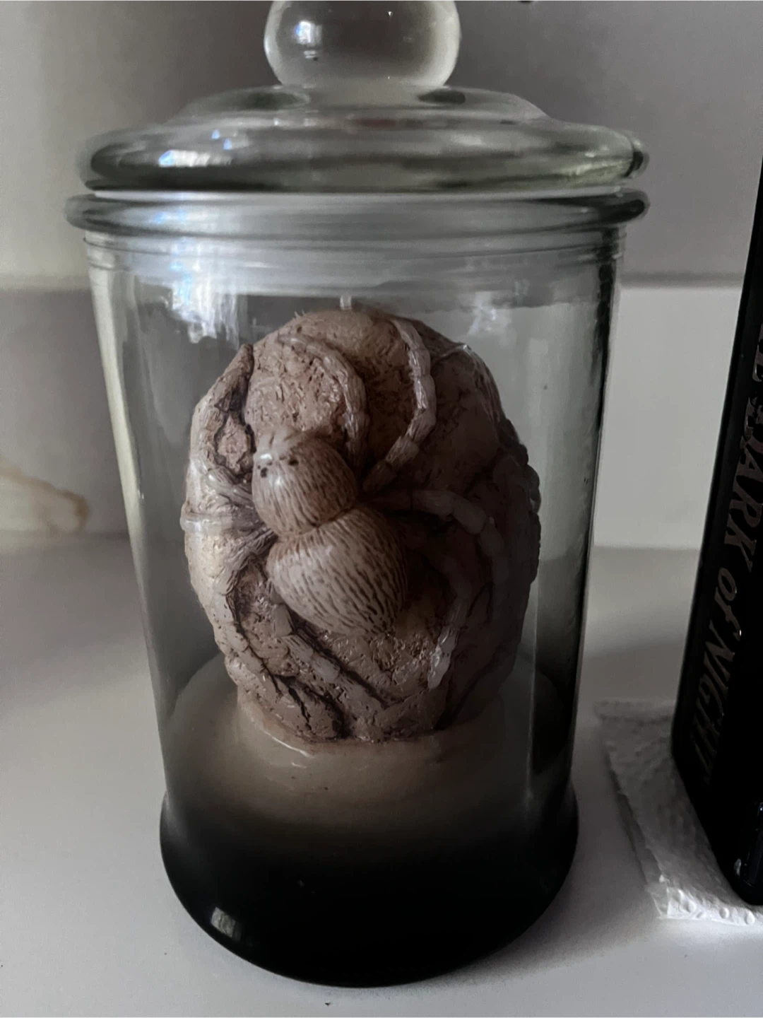 Halloween Decor: Candle, Spider, Coasters - photo 3