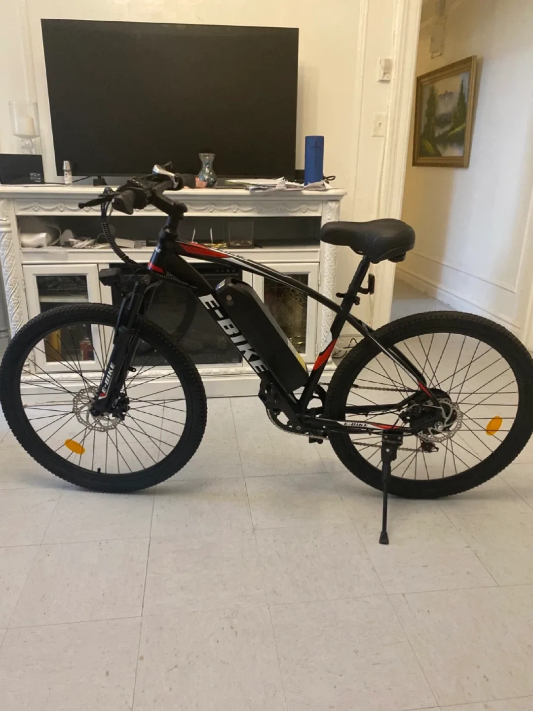 E-Bike Electric Bicycle image indicator(3)