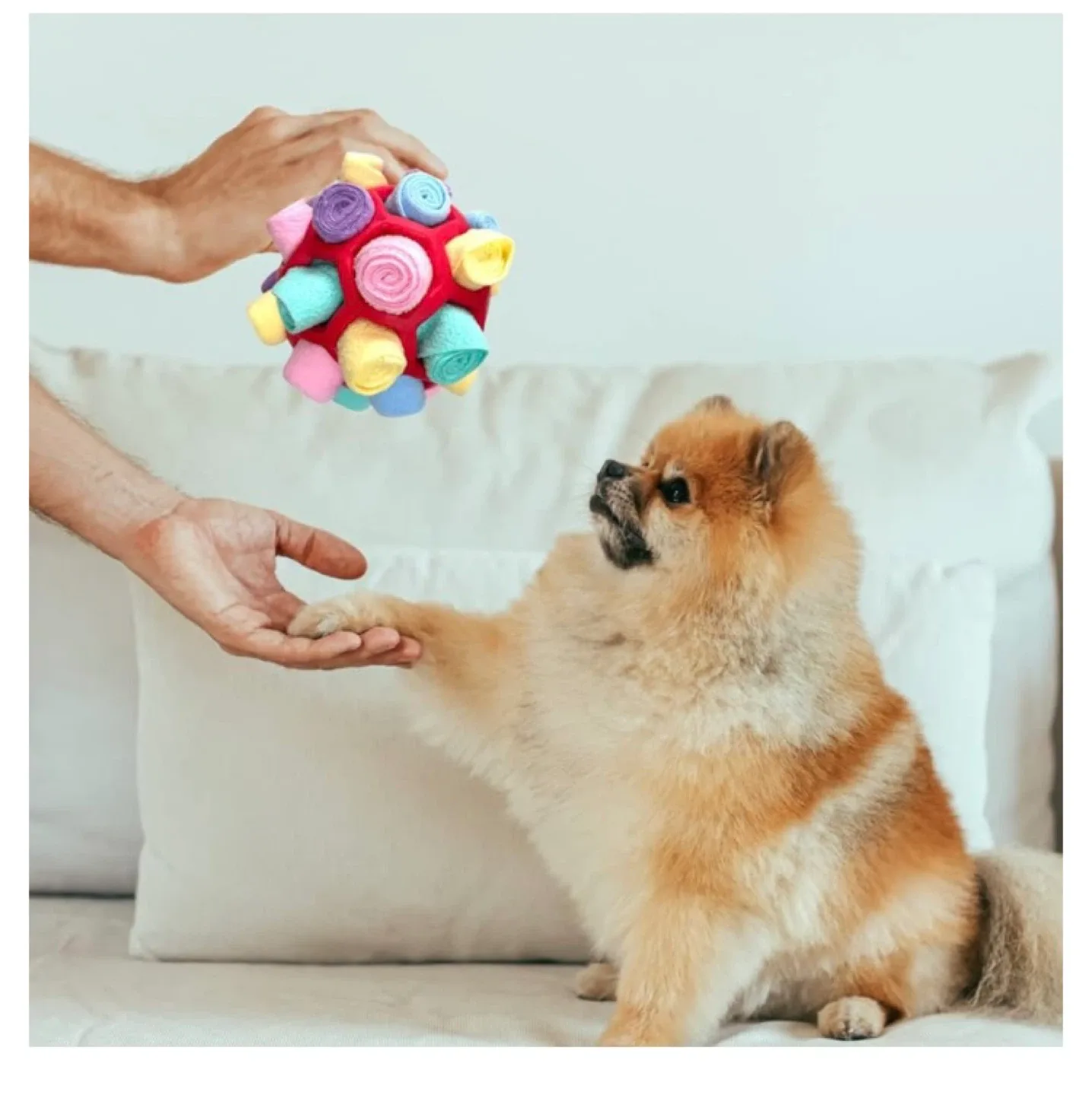 YEENER Interactive Snuffle Ball Dog Toy image indicator(7)