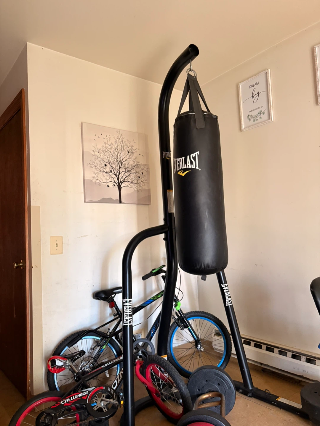 Everlast boxing bag !!! - photo 2