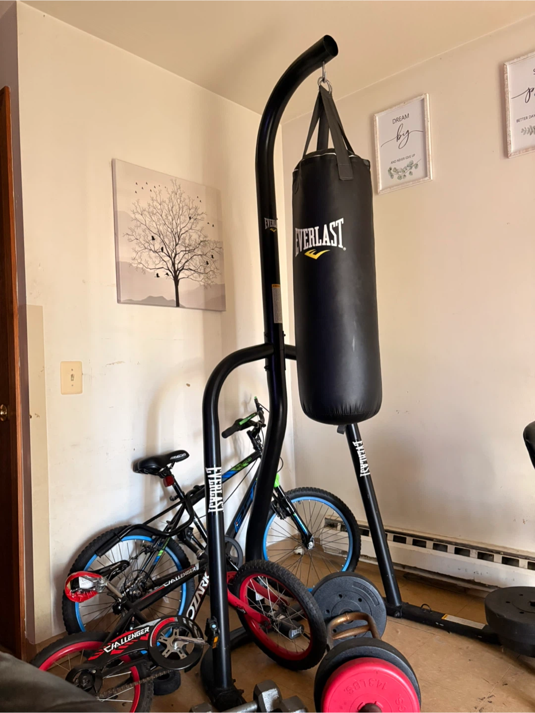 Everlast boxing bag !!! - photo 3