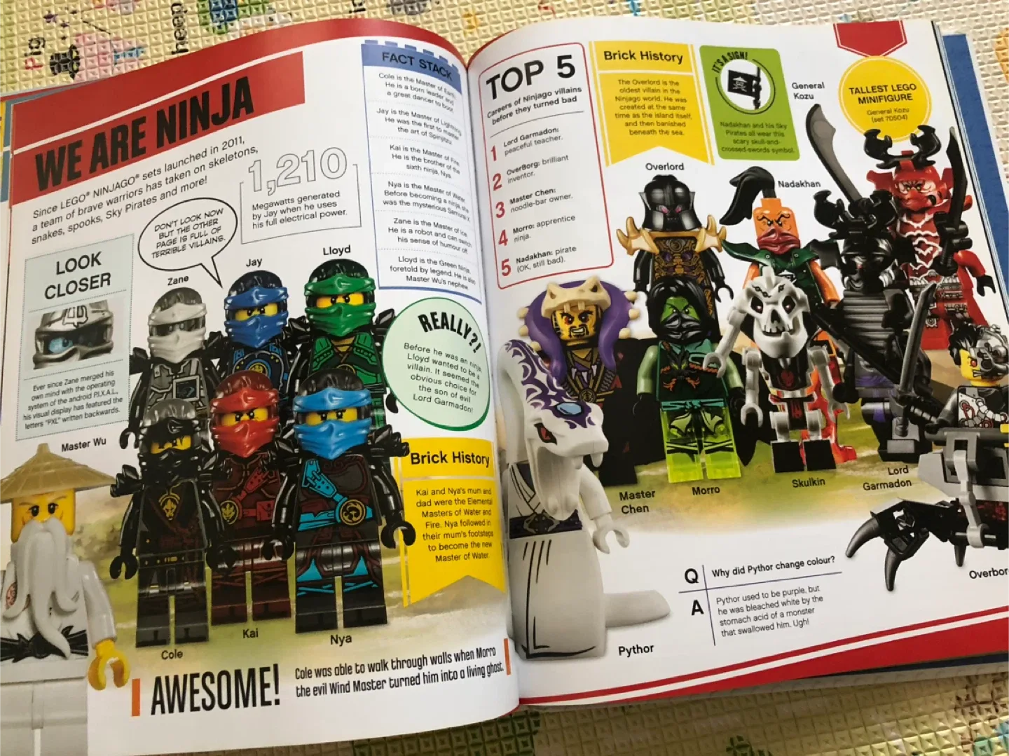 LEGO Absolutely Everything You Need To Know Book image indicator(4)