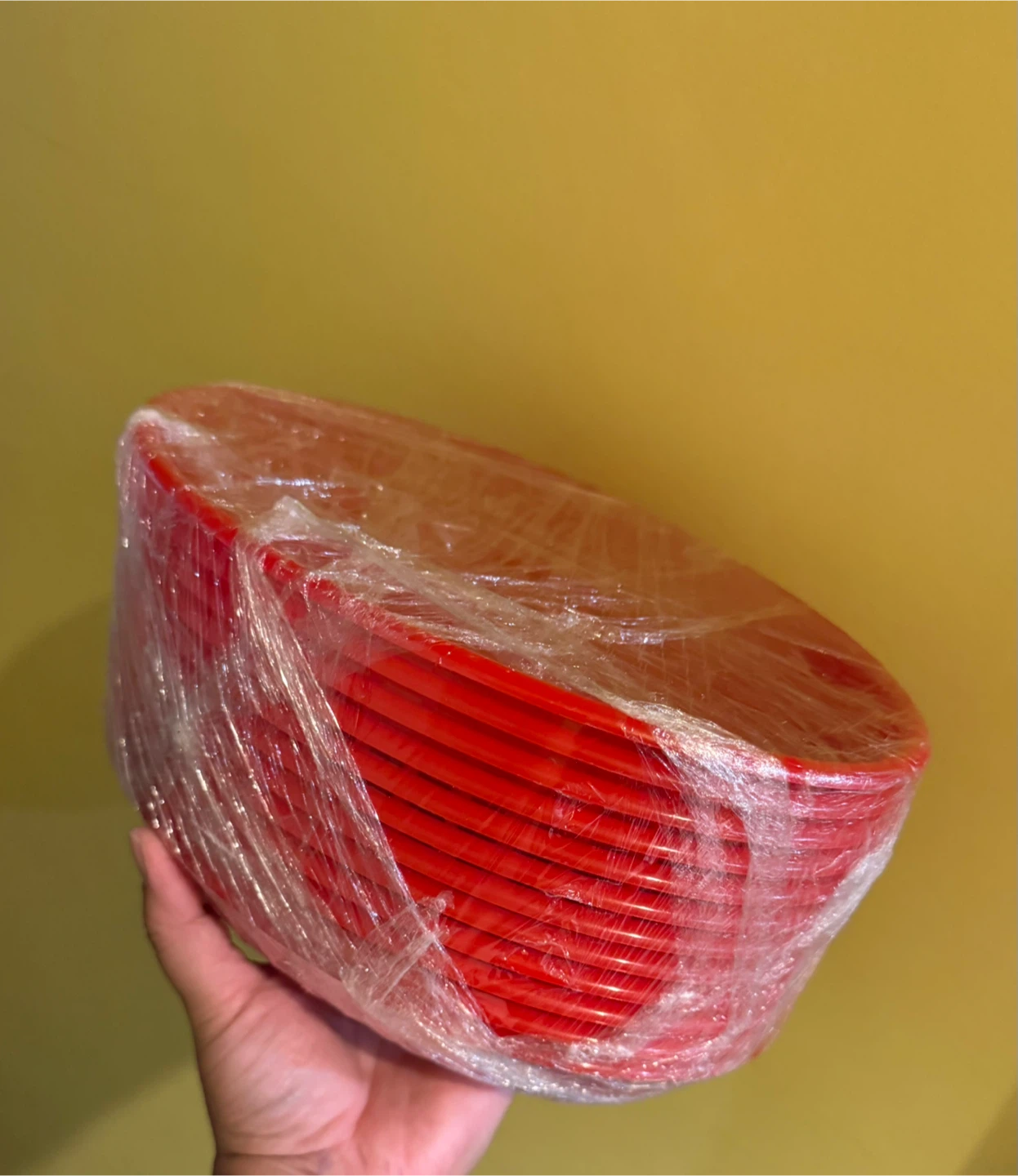 Red Plastic Plates - photo 3