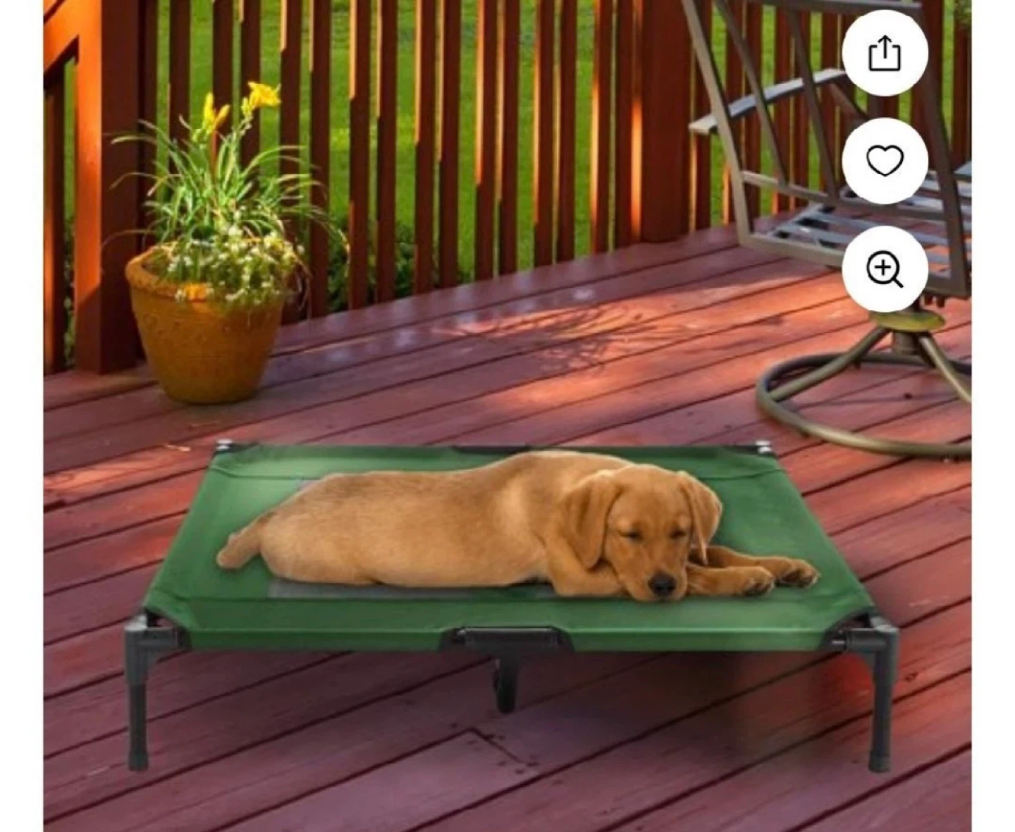 NEW Elevated Pet Bed