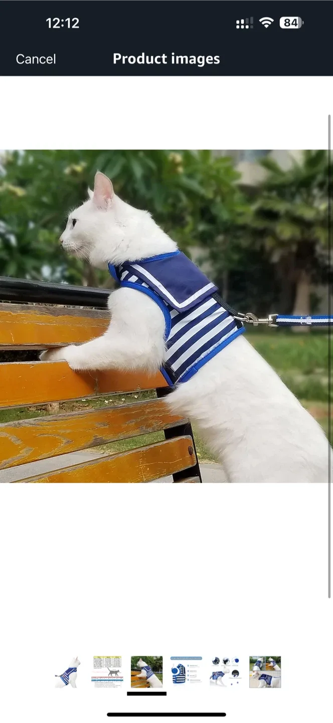 Cat Harness with Leash - Sailor Outfit, Blue & White image indicator(3)