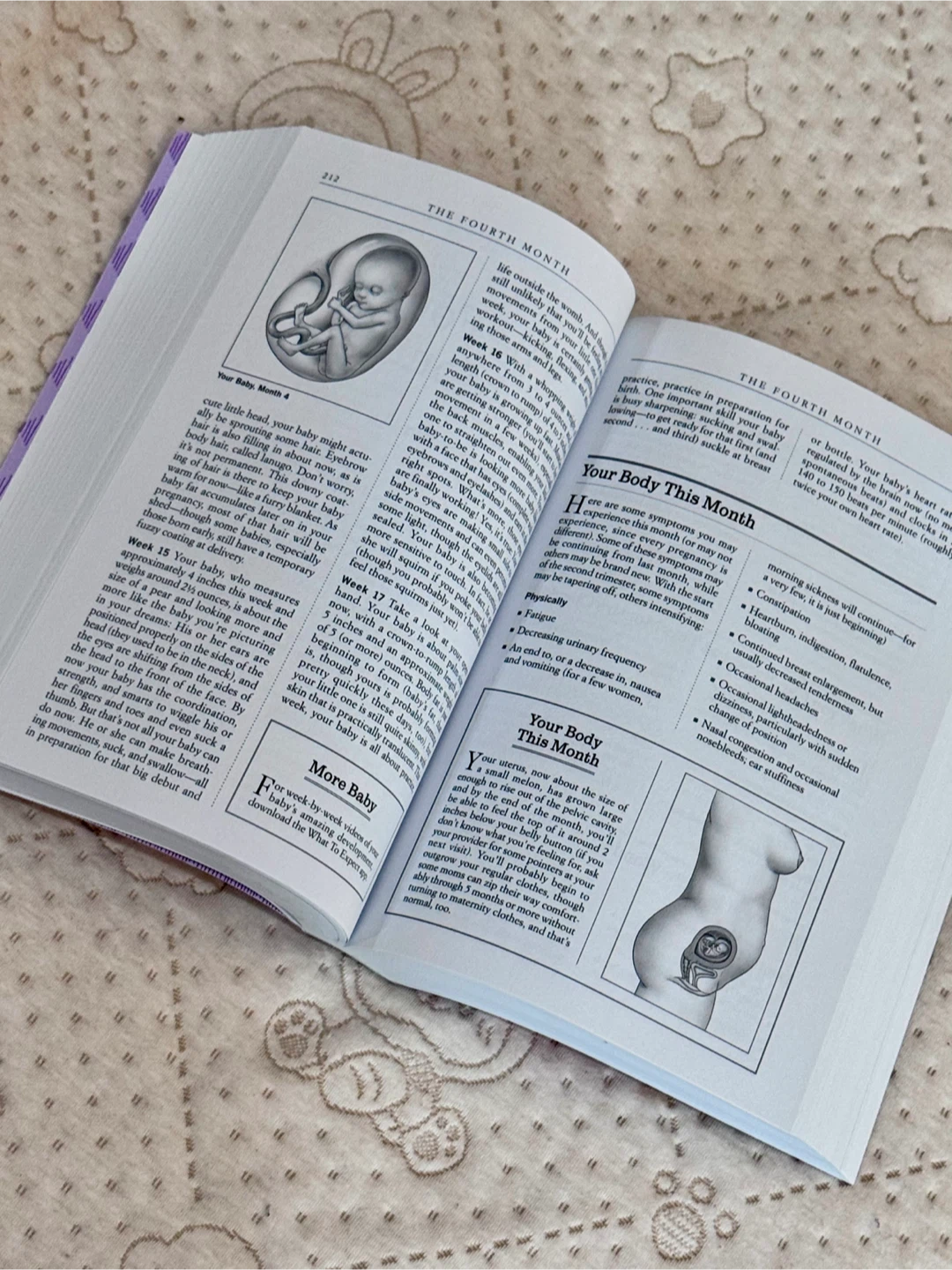 📘 What to Expect When You’re Expecting – by Heidi Murkoff - photo 3
