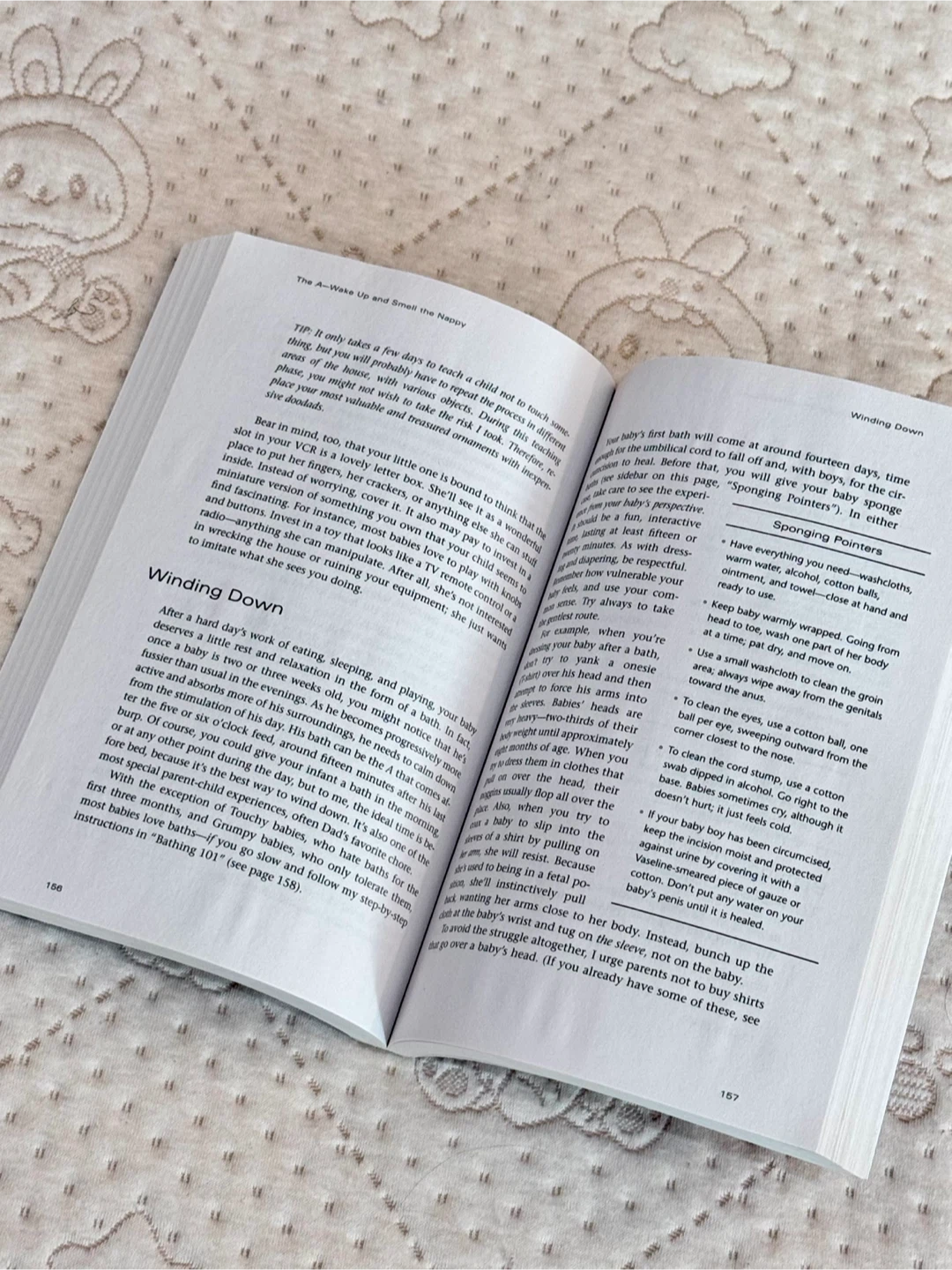 📖 Secrets of the Baby Whisperer – by Tracy Hogg & Melinda Blau - photo 3
