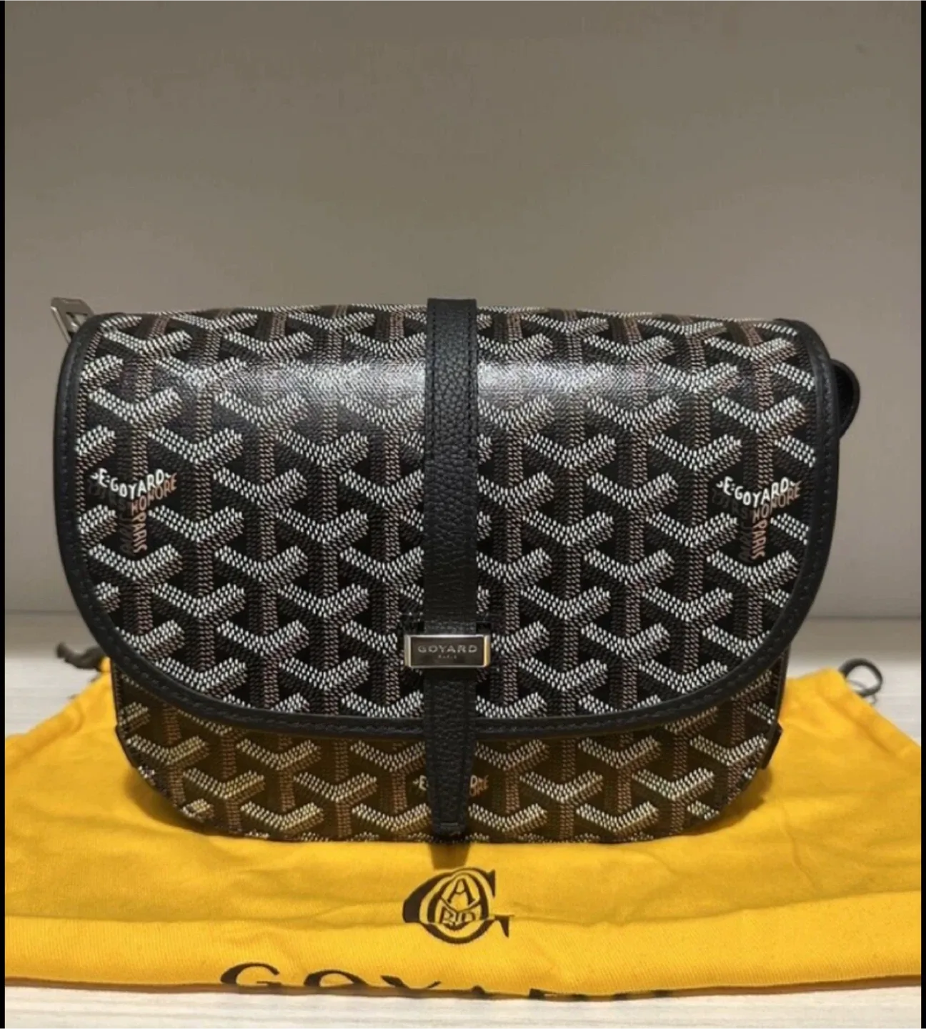 ‼️GOYARD SIDEBAG‼️ thumbnail