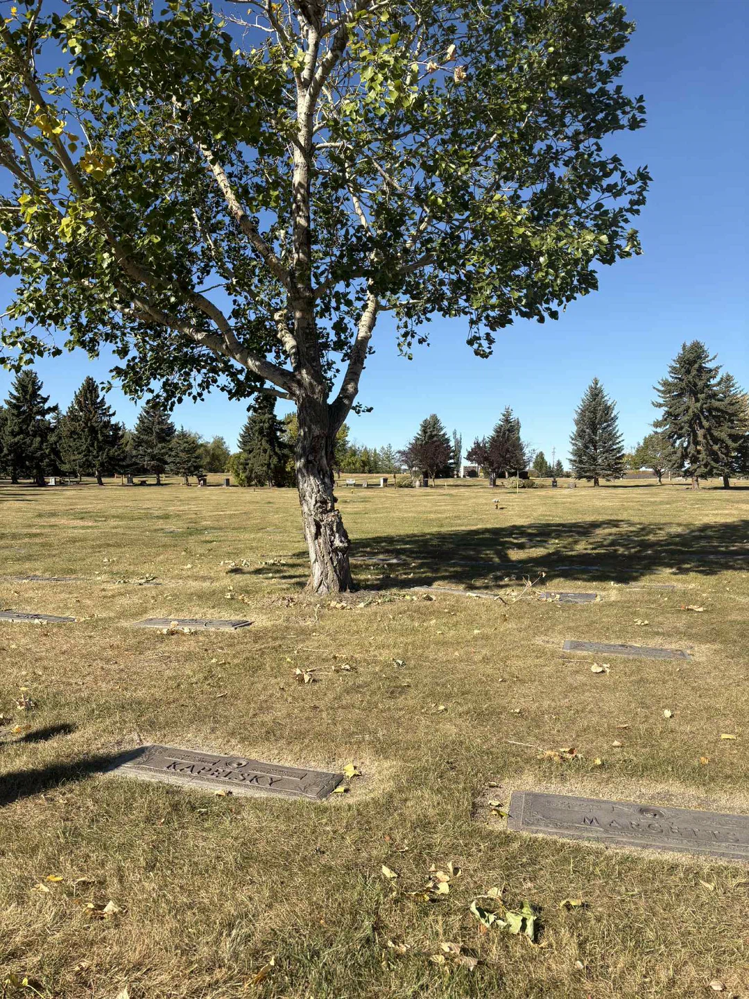 Evergreen Memorial  Traditional Plots - photo 4