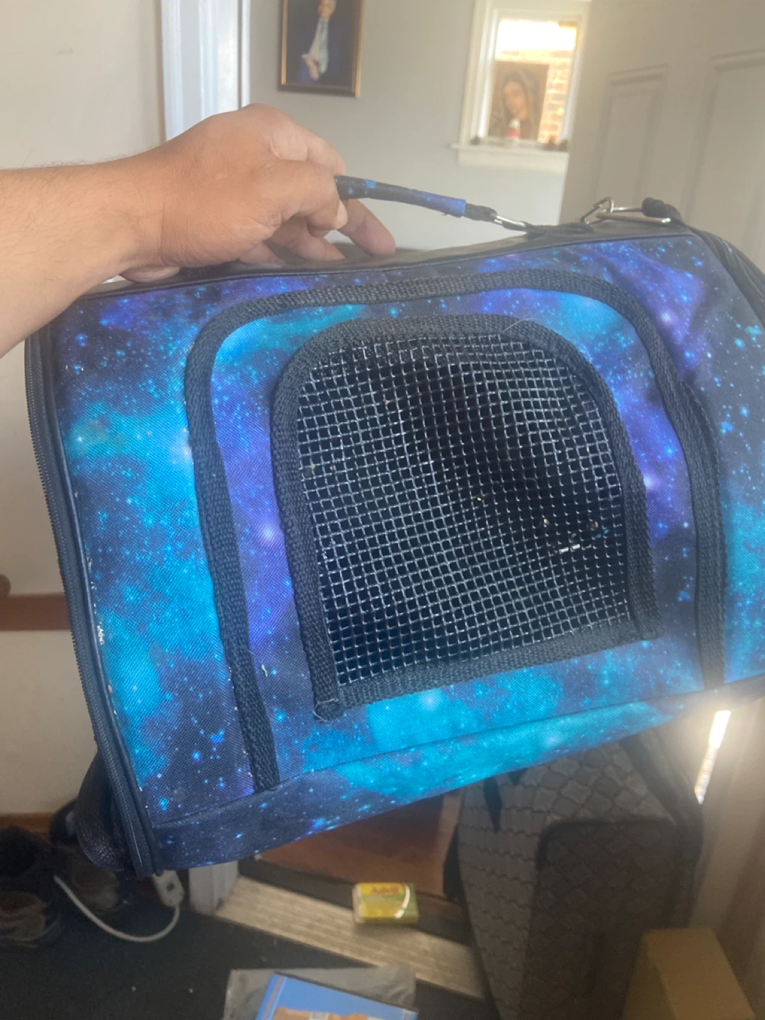 Blue Galaxy Pet Carrier