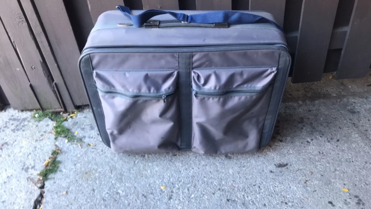 Grey Suitcase thumbnail