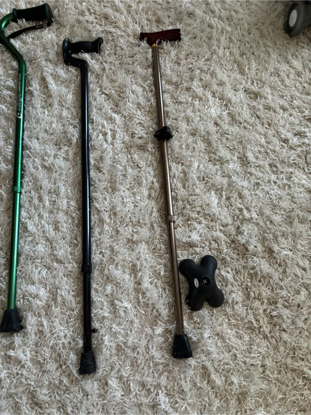 Variety of Walking Canes image indicator(2)