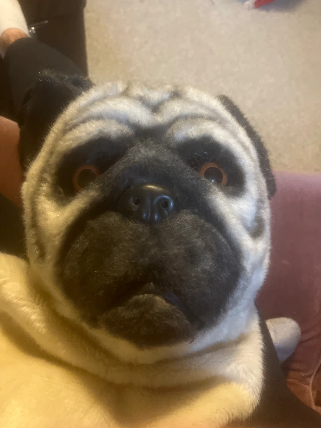Pug Mask