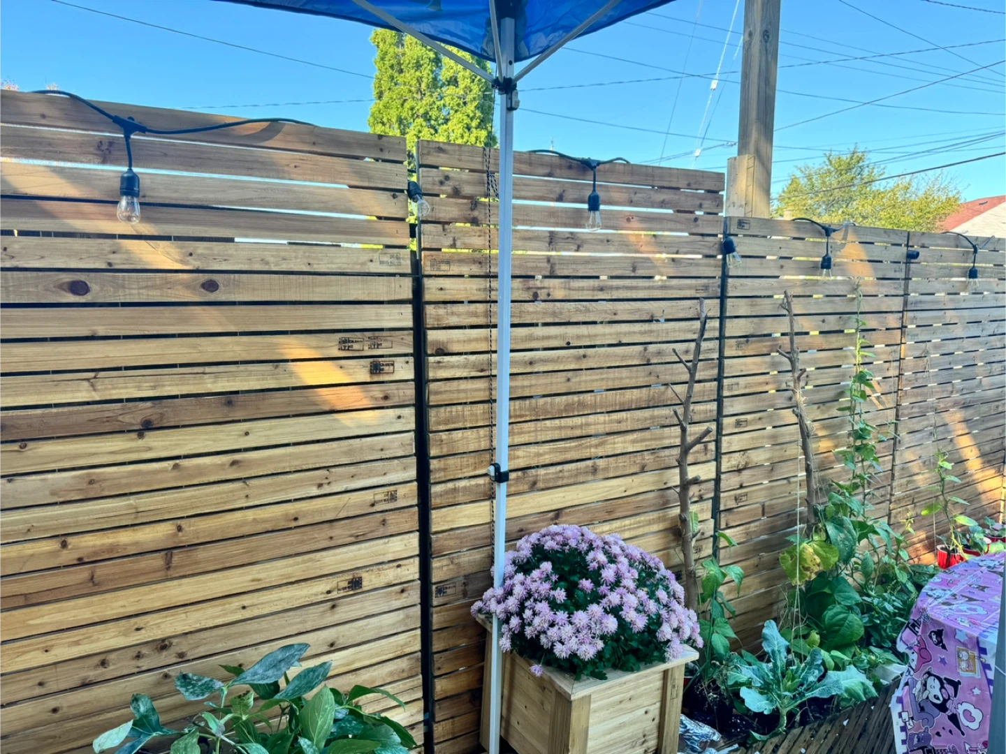 1- Wood Privacy Screen Panels 67in height x 42 in width