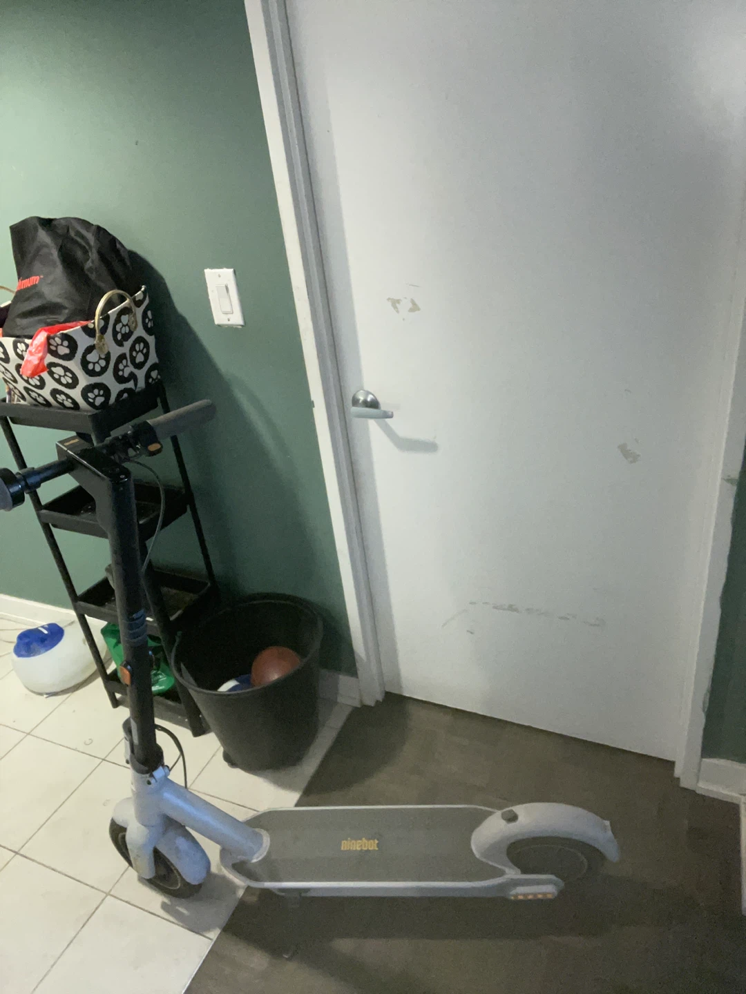 Ninebot Electric Scooter