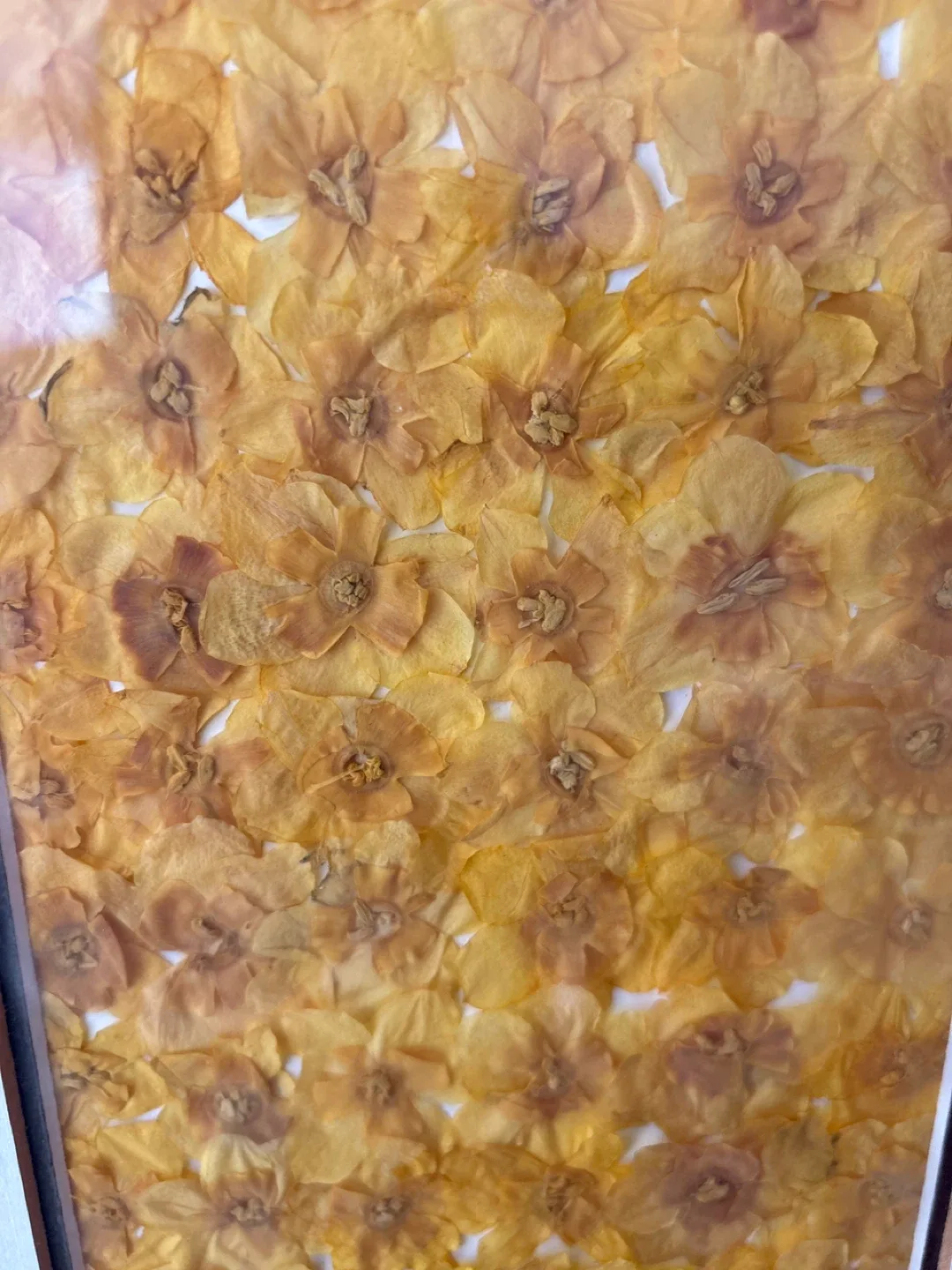 Framed Floral Wall Art yellow set of 2 image indicator(3)