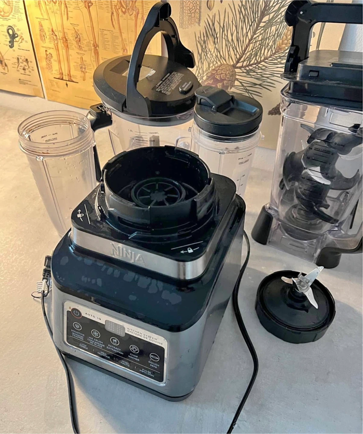 Ninja Kitchen System with Auto-iQ