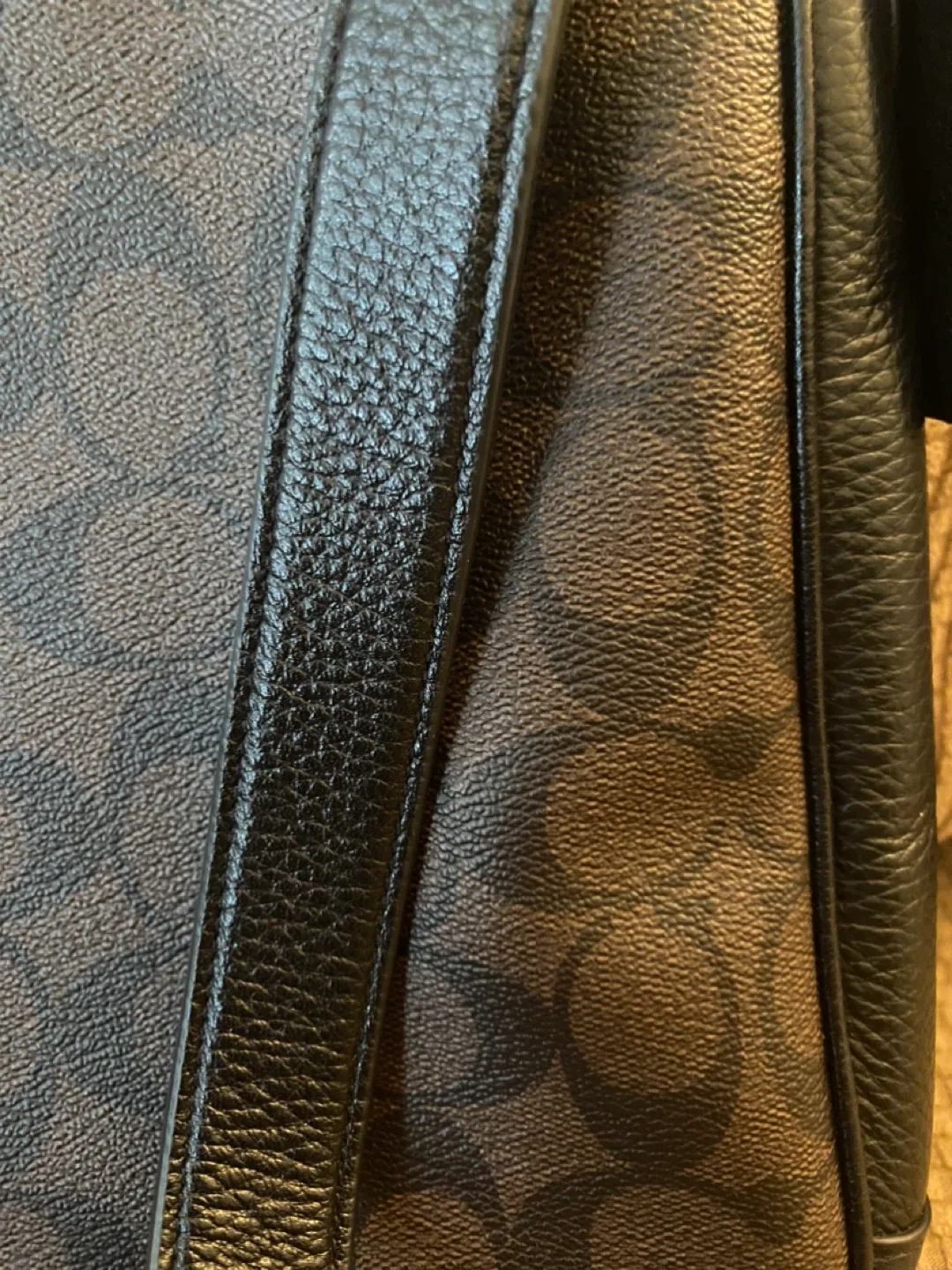 COACH Signature Bag image indicator(3)