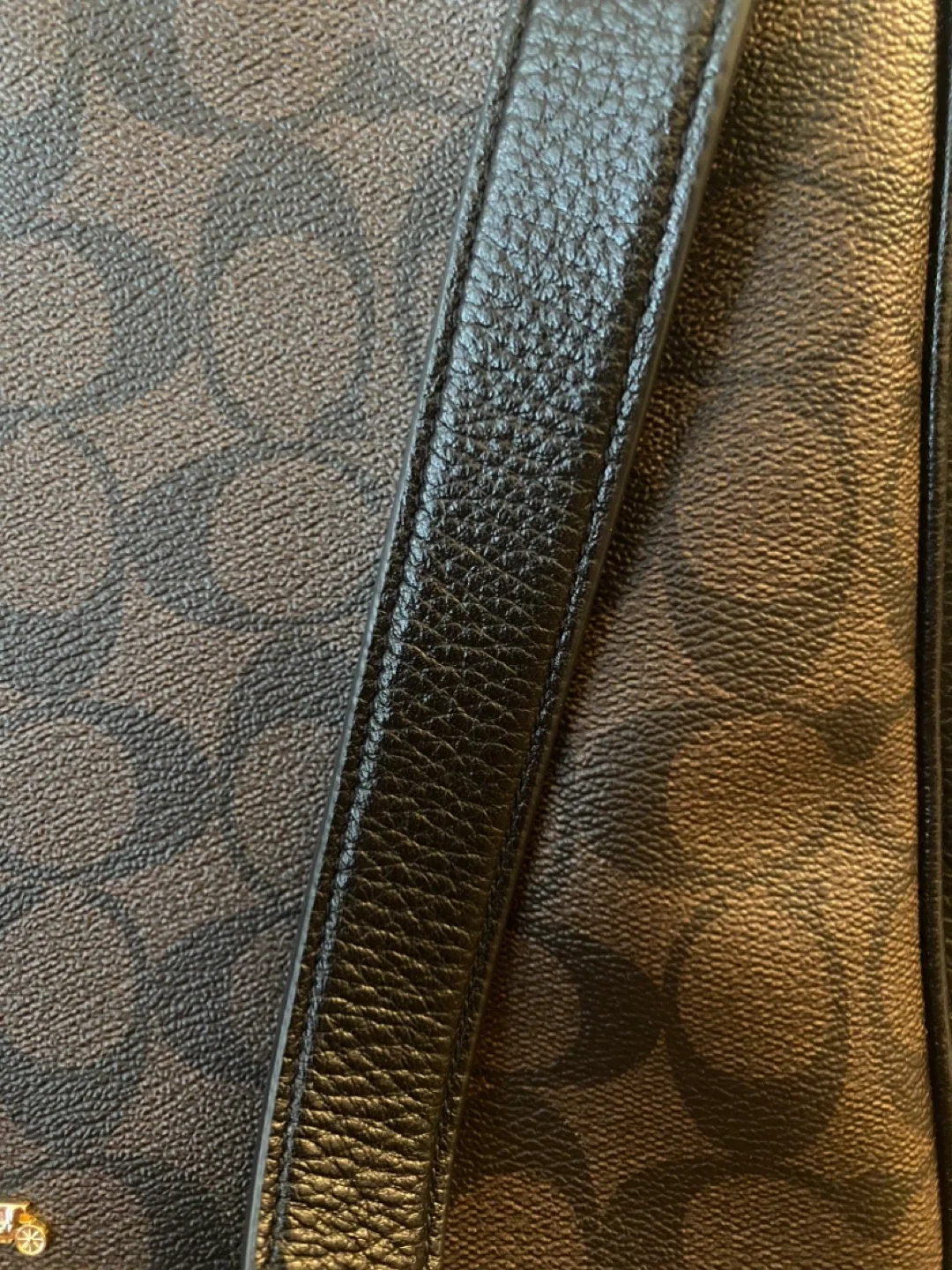 COACH Signature Bag image indicator(4)