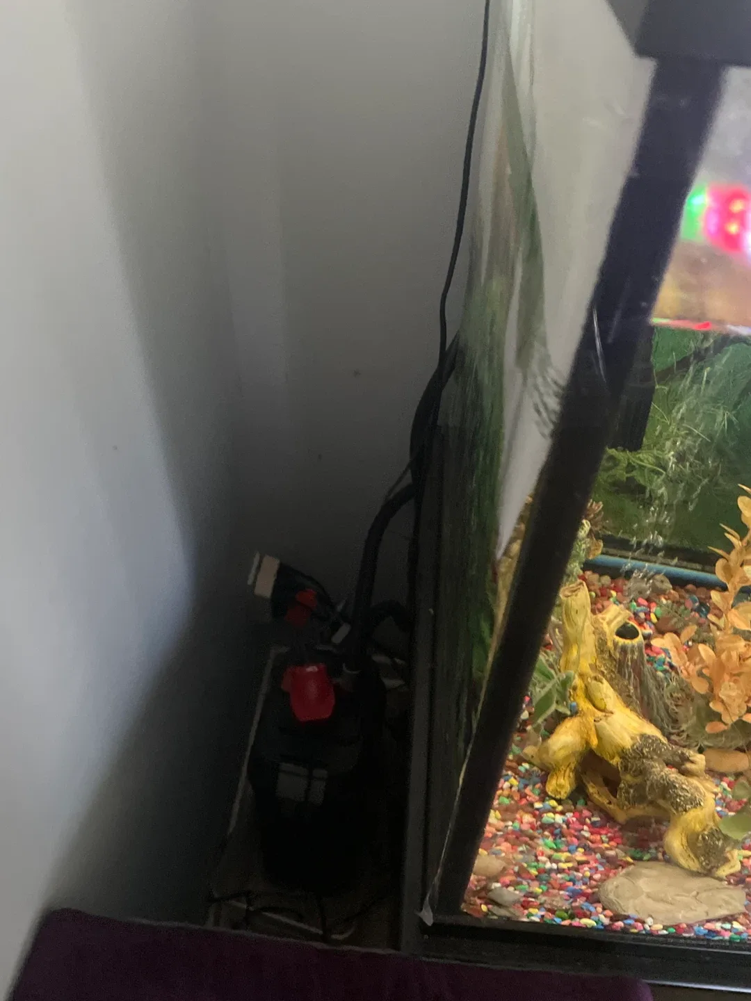 Fish Tank with Accessories image indicator(3)