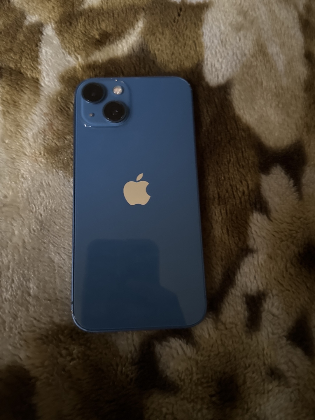 Blue iPhone 13