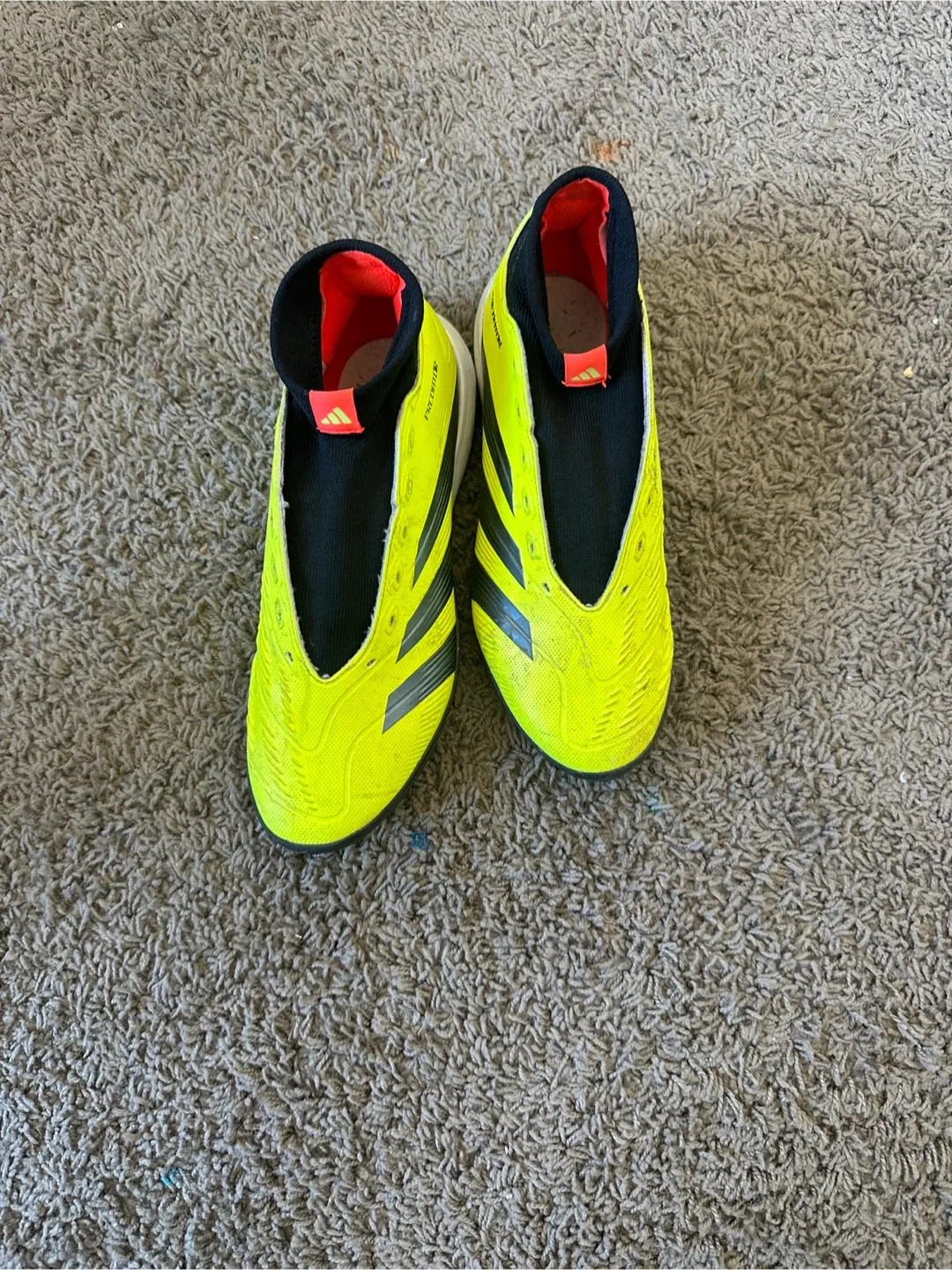 Adidas Predator Soccer Cleats - Size 8 image indicator(5)