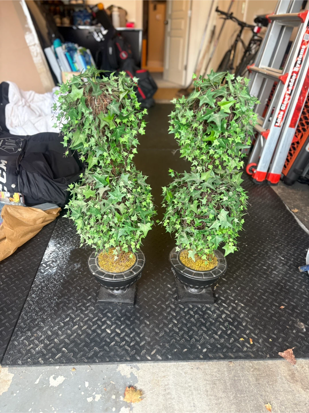 Ivy Topiary Trees (Set of 2)