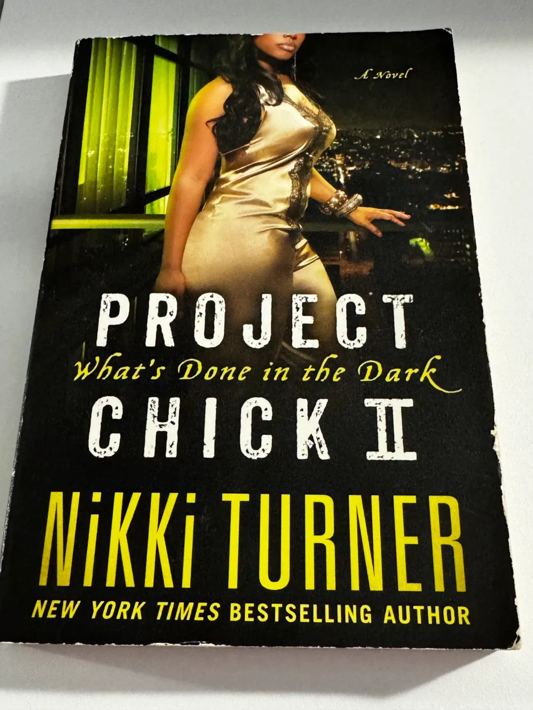 Project Chick Series by Nikki Turner image indicator(3)